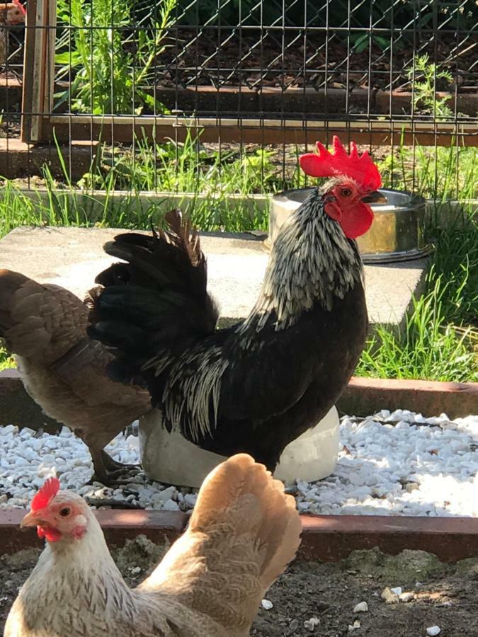 Ferienwohnung Landart Hilter Dış mekan fotoğraf